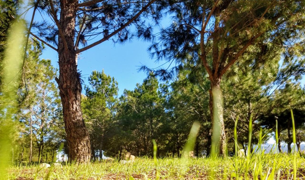 ואלה דה גוואדלופה Fernabella'S Lodge מראה חיצוני תמונה